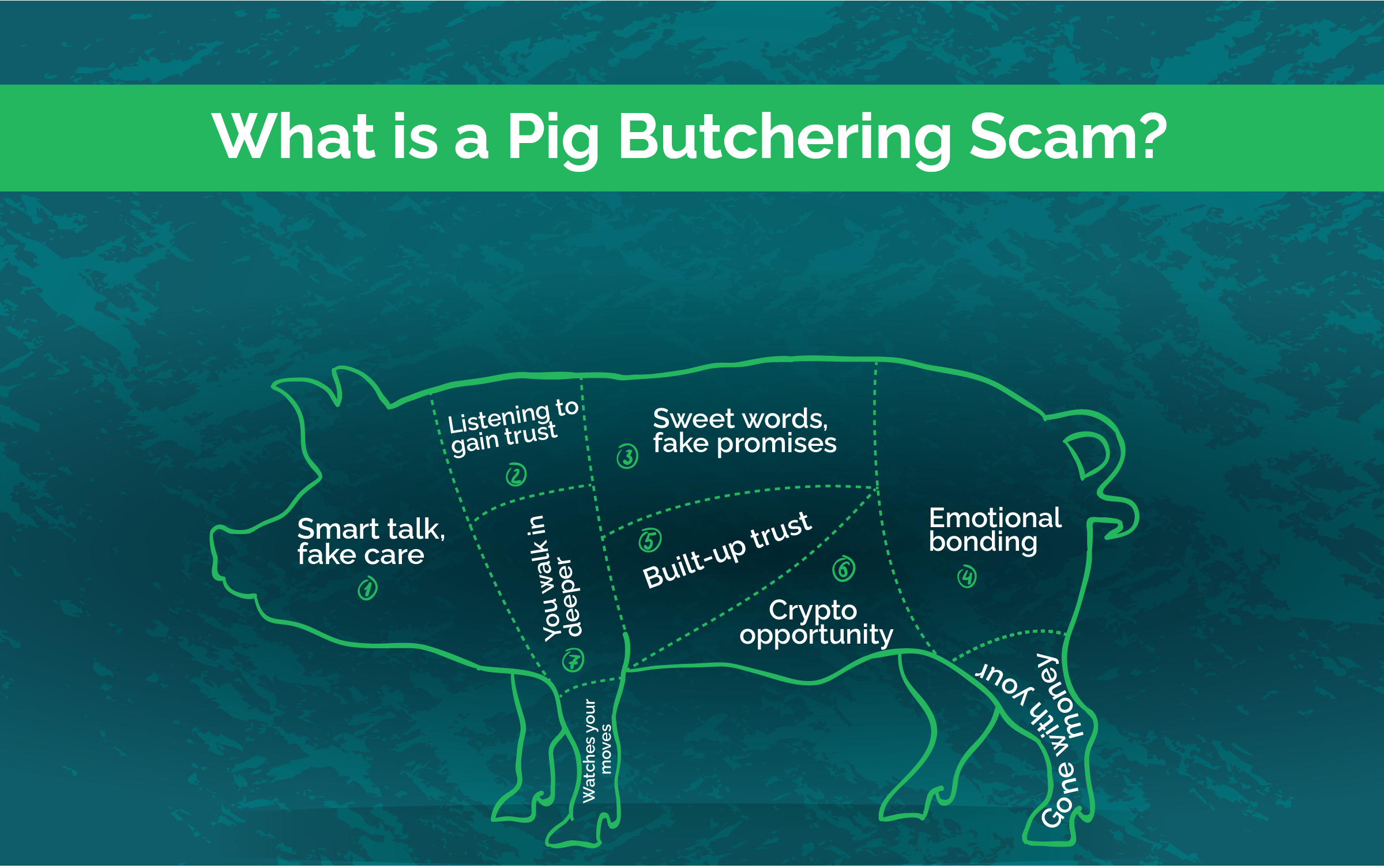 What is a pig butchering scam